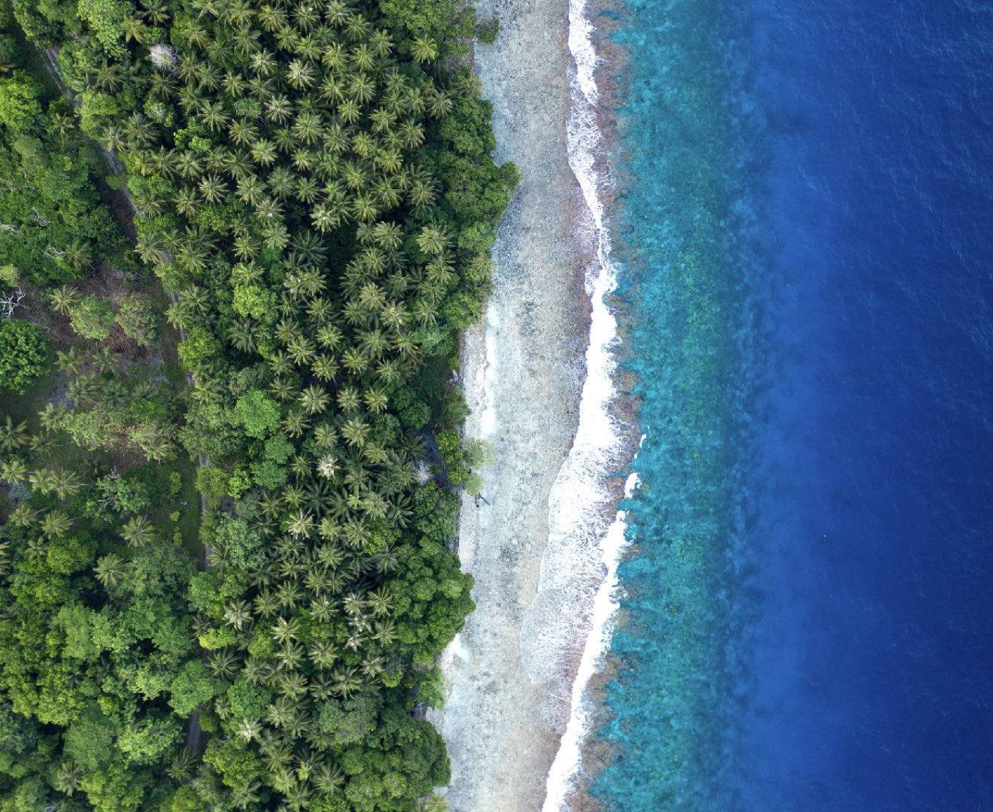 Untouched coast aerial
