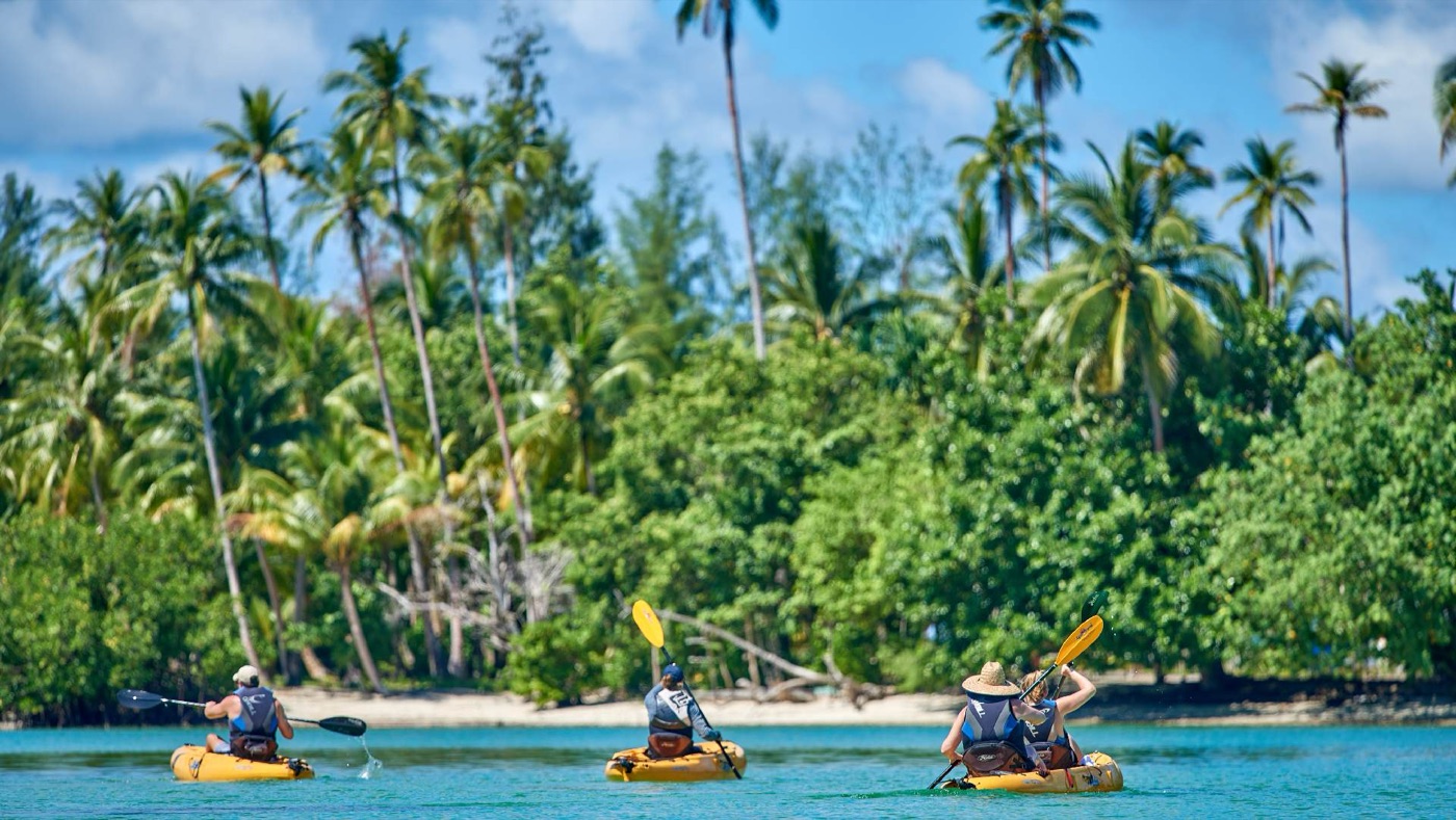 Kayaks and tenders